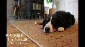 Herbst-Ausstellung handgewebter Teppiche