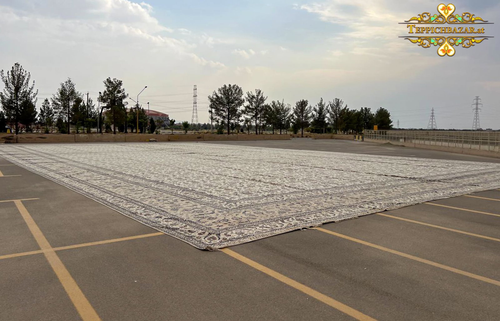 NEU 47.5x27.5 Meter Größter Handgeknüpfter Nain 9La Perserteppich 1306 Quadratmeter Floral Afshan Muster mit Seide (#419)