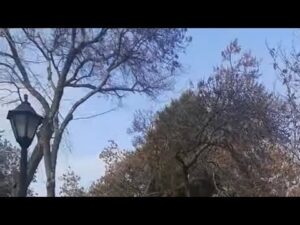 Iran: Mashhad | Amin Park, Sajjad Boulevard