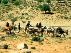 Isfahan Teppiche GmbH