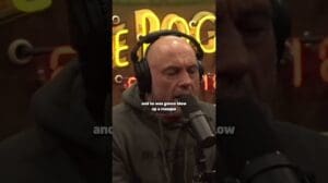 Joe Rogan erzählt eine verrückte Geschichte über einen muslimischen Konvertiten