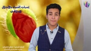 Jugendthemen - Jugendreform Präsentation: Sajad Al-Haliyawi - Mohammed Sadr Al-Abidi Schnitt: Nour Eddin Al-Abid