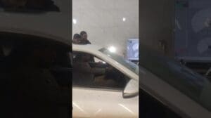 Kirman Dino Karte Bamdoritat Sajjad Abaszadeh 09139410903