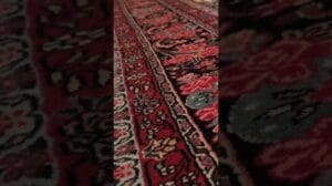 Kühn, schön und für die Ewigkeit gebaut - 7′ x 10’2″ Bijar