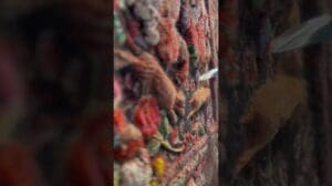 Kunst des Einlegens und Prägens von Bijar-Teppichen