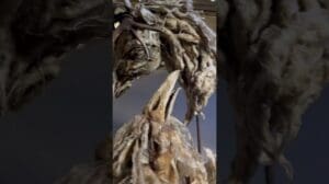 #Museum #Statue #Persischer_Teppich #Teheran