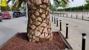 Realme 6 Pro Kamera Video Test / Originalversion des 4-lü Tests