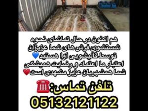 Reinigung von Möbeln und Teppichen Ava