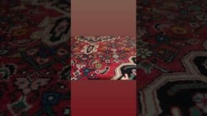 Schöner Vintage #Bijar-Teppich aus dem Westen Irans. Pinkes und blaues Medaillon auf rotem Grund.