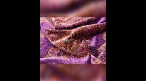 Seidenteppiche bei Teppich.com kaufen