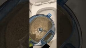 Service zur Entfernung von Staubmilben