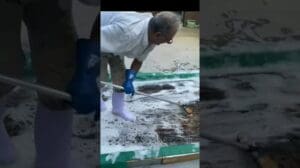 Spezielle Reinigung von vollseidenen Teppichen aus Qum und Wiederherstellung der Farben sowie Fransenbindung