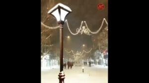 Tabriz Pflastersteine Vali-Asr