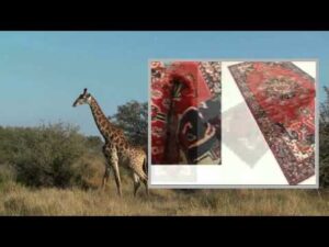 Tappeto Mashad 300x126