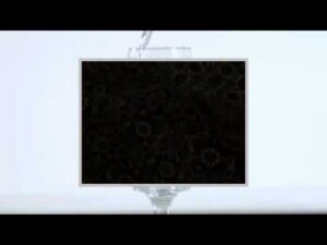 Teppich Bidjar TakabNicht Video