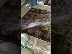 Teppichreinigung durch den Teppichkunsthandwerker