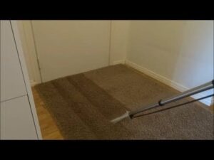 Teppichreinigung mit Textilreinigungsgerät / Hochdruckreinigungsgerät