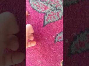 Teppichreinigung vorher und nachher