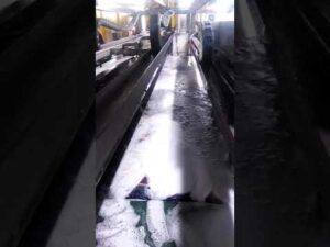 Teppichwaschmaschinen aus China im Reinigungsbetrieb des Kunden