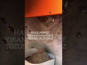 Tezaltem: Teppichreinigung in 1 Minute