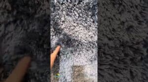 Tipps beim Teppichkauf.