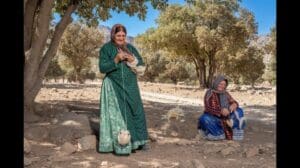 Traditionelle Handwebtechnik: Der Moment, in dem der Gabbeh-Teppich entsteht