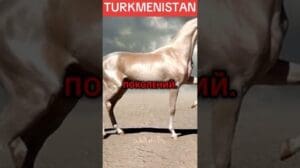 Turkmenische Reichtümer