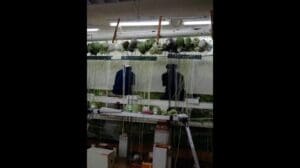 Weltgroßer Teppich, von 5 Personen täglich 3 cm gewebt, 45 Tage lang, ein Wert von über 100.000 #TäglichWissen #EntdeckeDieWelt #Teppich