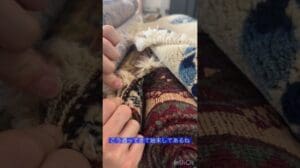 Wie man handgewebte Teppiche erkennt!