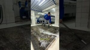 Wir waschen den 10.500 Dollar teuren iranischen Seidenteppich! Die Farben leben richtig auf! Tezal Teppichreinigung Istanbul