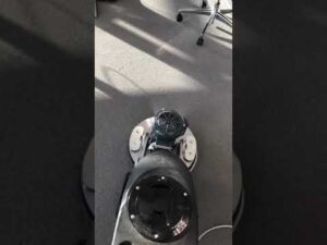 abc Teppichreinigung