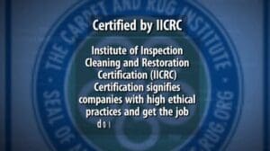 „Die 10 besten Gründe, mit Zerorez zu franchisieren“