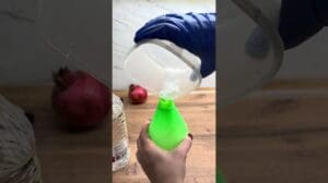 „Lifehack: Wie man einen Fleck aus dem Teppich entfernt 🤪 HouseUp Artikel 262643151“