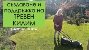 „Rasen im Garten - Wie man eine dekorative Rasenfläche schafft und pflegt“