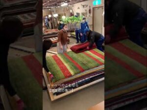 „【Gabbeh】~ Geschenk der iranischen Nomaden 3~ #Interieur #Gabbeh #ZolsvanariGabbeh #Teppich #MeinZuhause #Renovierung #DIY #nachhaltig #stylischesZimmer“