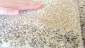 Rug Import Modern Rug Nakane Möbel