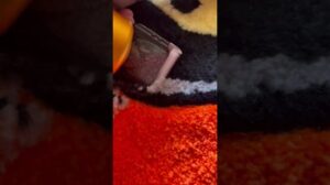 Individueller Teppich für dich 🤍🫰🏻 inst: rugs.natata