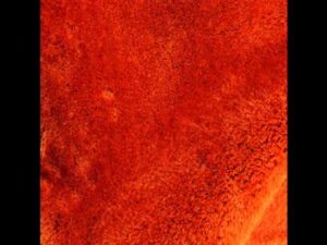 198-TappetoModerno, Shaggy Soft Silk, Teppiche-Galleria Farah1970