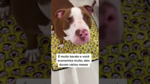 3 Gründe, nur waschbare Hygienematten für deinen Hund zum Pinkeln zu verwenden #shorts