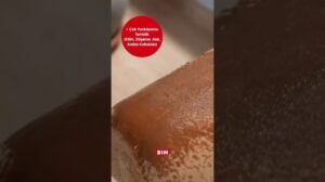 31. Mai | Sofa Teppichreinigungsmaschine | BİM