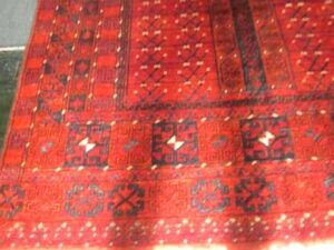 6 x 9 Turkoman Teppich von Paradise Oriental Rugs, in Sebastopol, Kalifornien