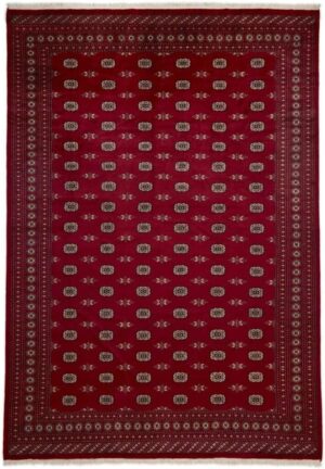 71PYRJAMe9L._AC_SL1200_.jpg