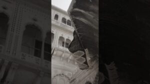ADHYAM '22 ‑ Vrindavan Teppich