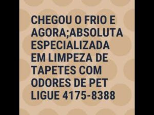 Absolute Teppichreinigung 4175-8388