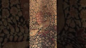 Antike Lavar Kerman Perserteppich