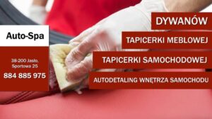 Auto-Spa Teppich-, Autofahrer- und Möbelreinigung Jasło Anna Rzońca