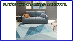 BEWERTUNG (2025): Kurzflor Teppich ASIinnsy 160x200cm.. WESENTLICHE Einzelheiten