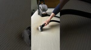 BISSELL SpotClean HydroSteam 3689F | Matratzenreinigung #bissell #reinigung #shorts #zufriedenstellend