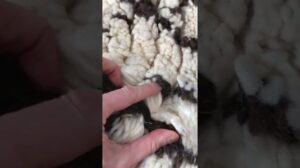 Berberteppich aus Marokko Azilal VINTAGE