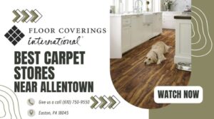 🏠 Beste Teppichgeschäfte in der Nähe von Allentown #allentown #bethlehem #phillipsburg #flemington #lehighvalley